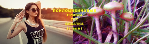 альфа пвп Инта