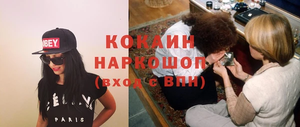 винт Инсар
