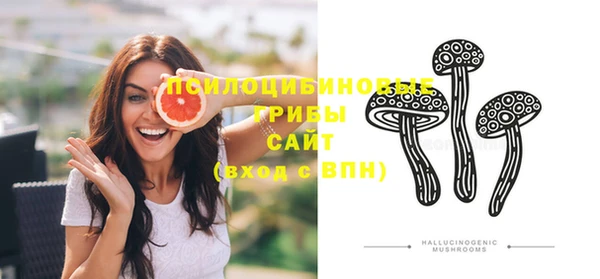винт Инсар