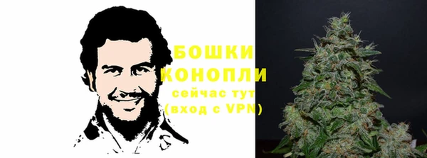 винт Инсар