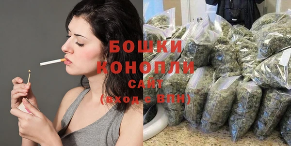винт Инсар