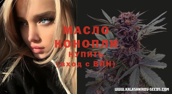винт Инсар
