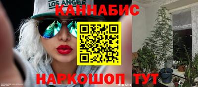 амф Тула